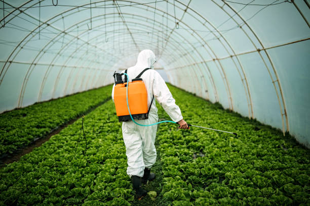 Best Commercial Pest Control Services  in Pine Hill, NJ