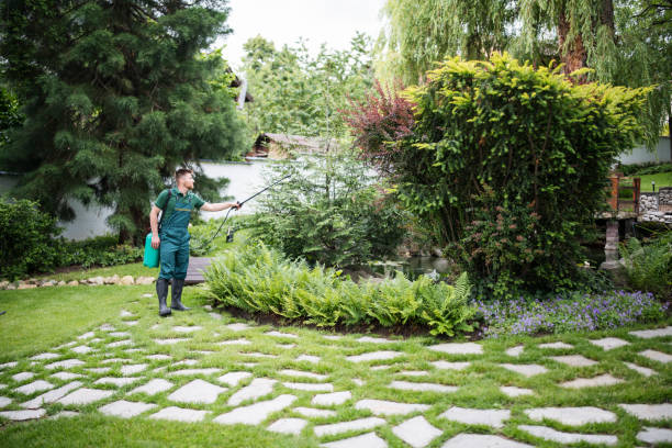 Best Local Pest Control Services  in Pine Hill, NJ