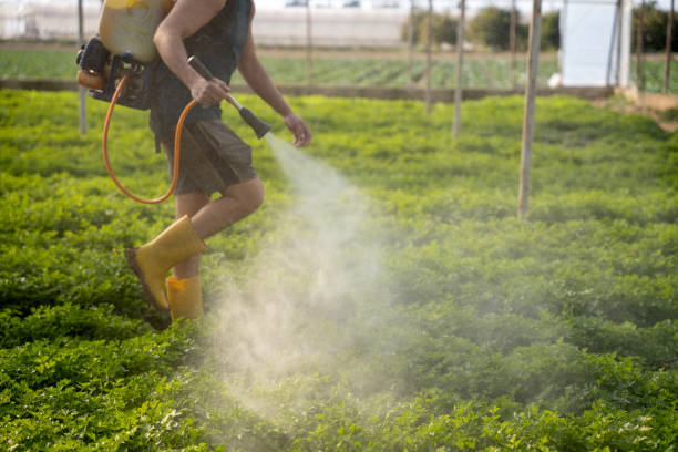 Best Best Pest Control Companies  in Pine Hill, NJ