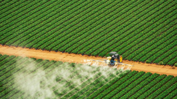 Reliable Pine Hill, NJ Pest Control Solutions