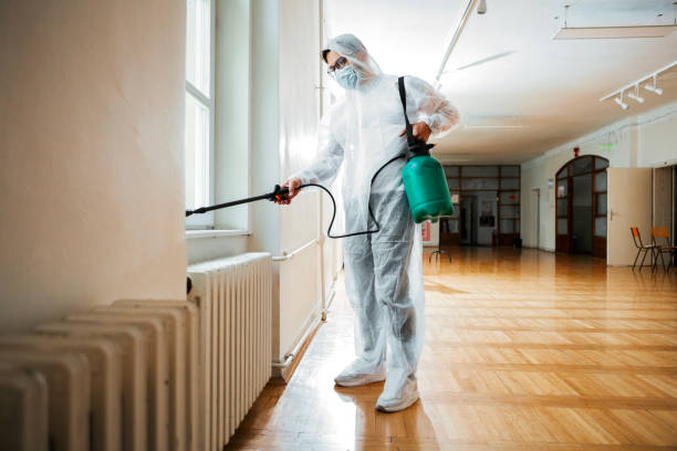 Best Flea Control Services  in Pine Hill, NJ
